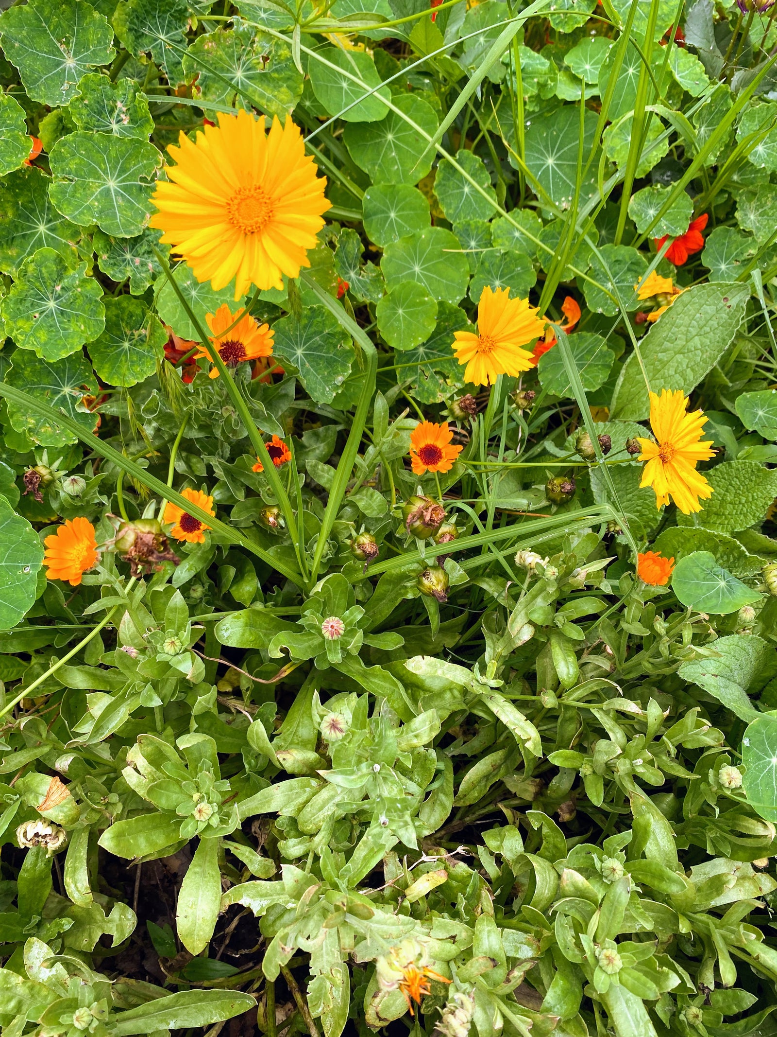 Skincare Consultation With our Founder